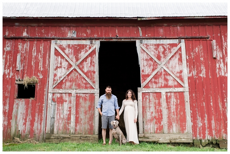 Blacksburg Baby Photography,Blacksburg Maternity Photography,Farm Maternity Photos,Roanoke Baby Photography,Roanoke Maternity Photography,Weimaraner,